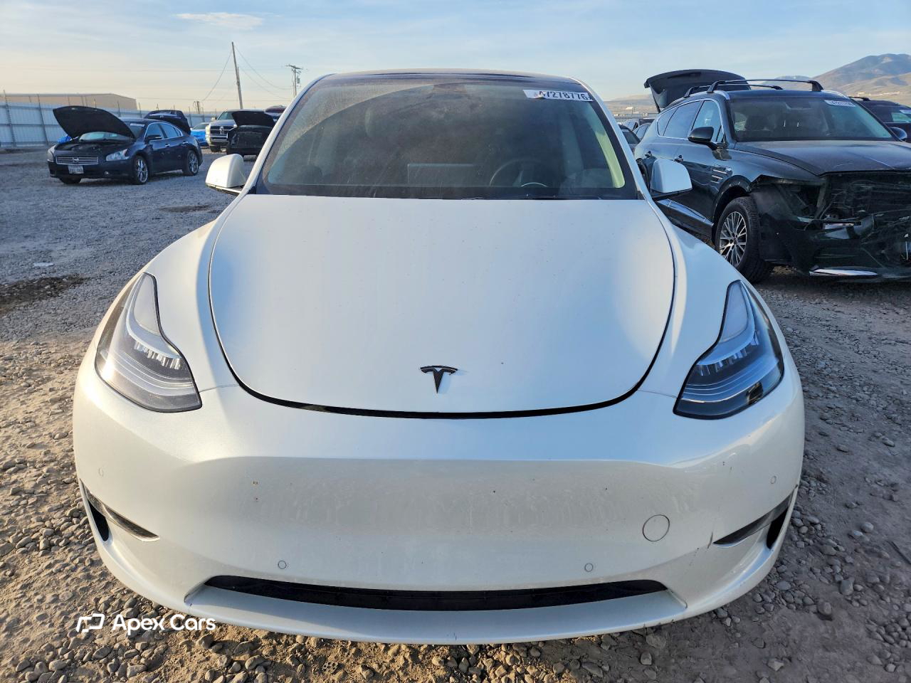 Tesla Model Y 2022