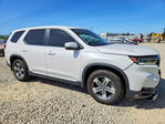 Honda Pilot 2025