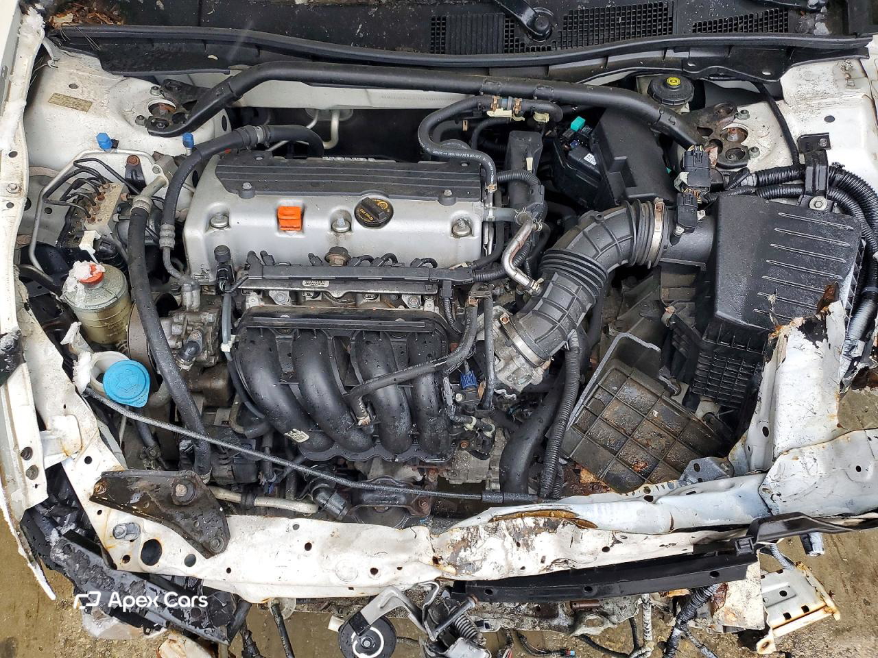 Honda Accord 2011