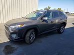 Toyota RAV 4 2023