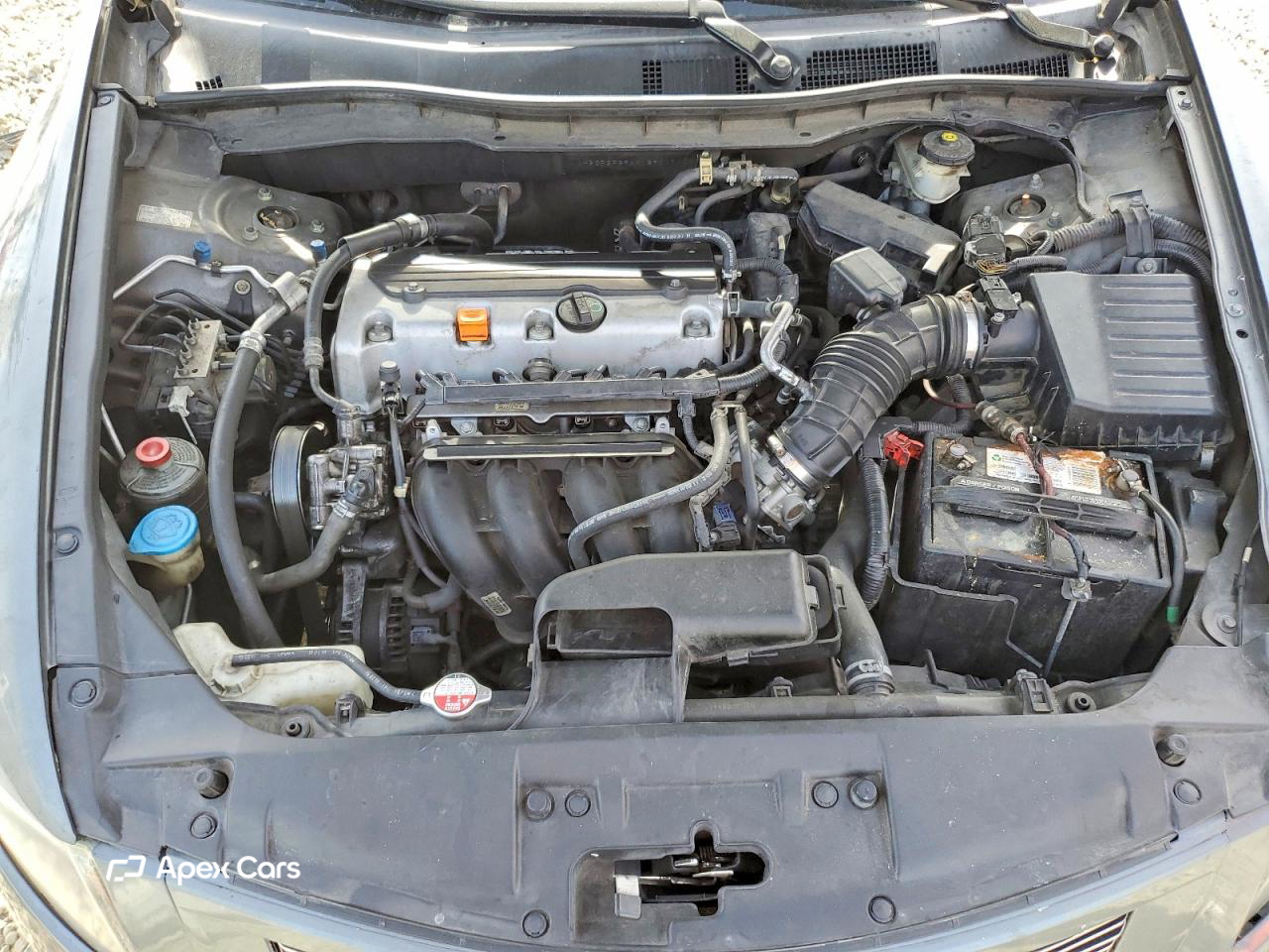 Honda Accord 2010