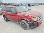 Ford Escape 2010