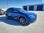 Lexus NX 2022