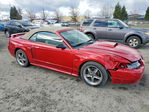 Ford Mustang 2001
