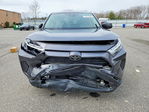Toyota RAV 4 2024