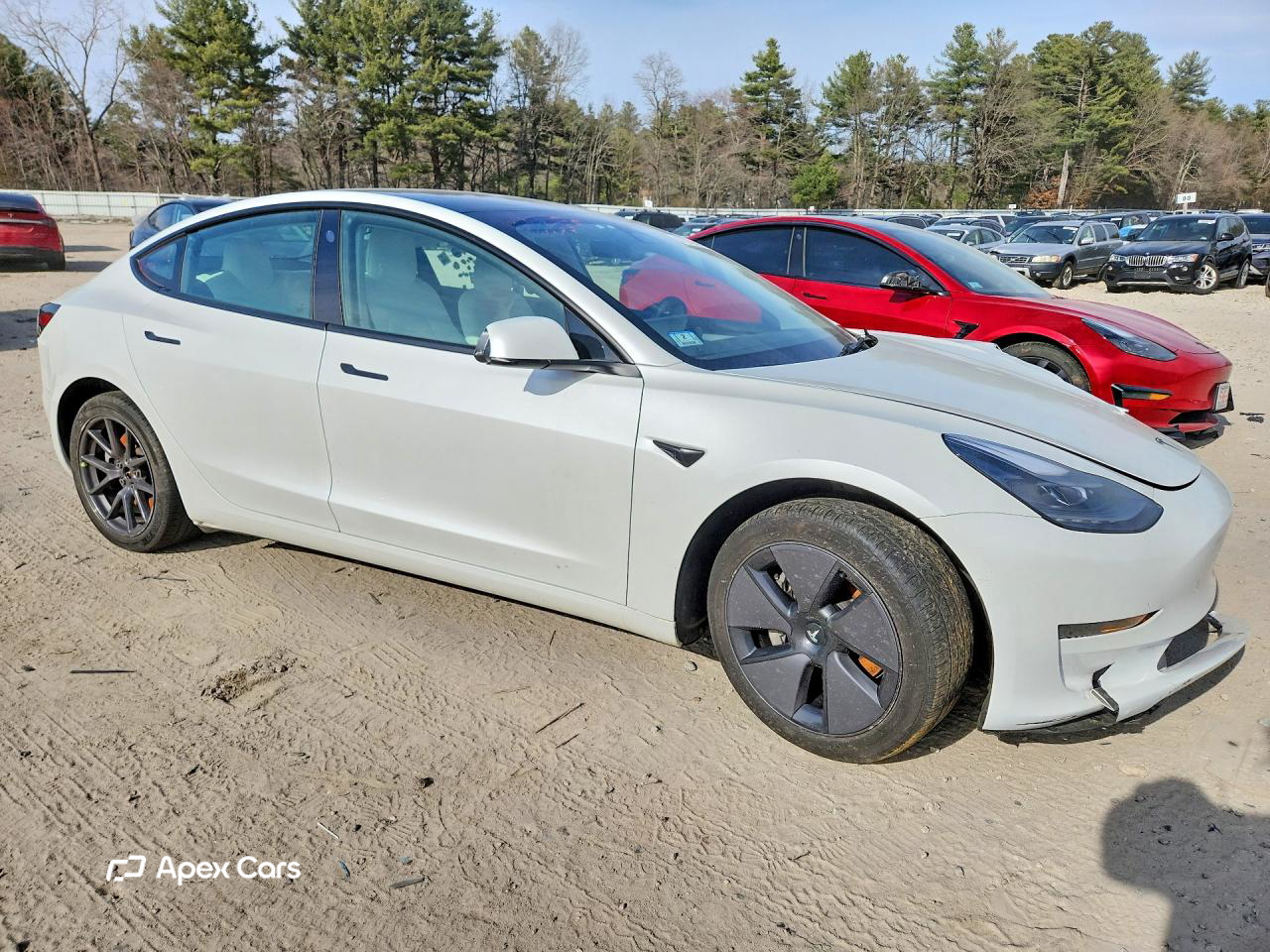 Tesla Model 3 2023