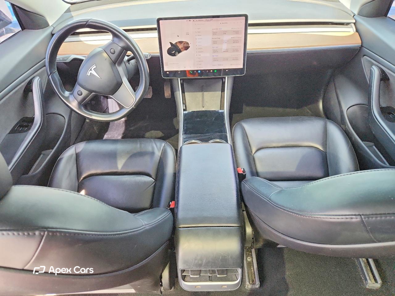 Tesla Model 3 2019