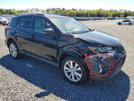 Toyota RAV 4 2013