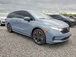 Honda Odyssey 2024