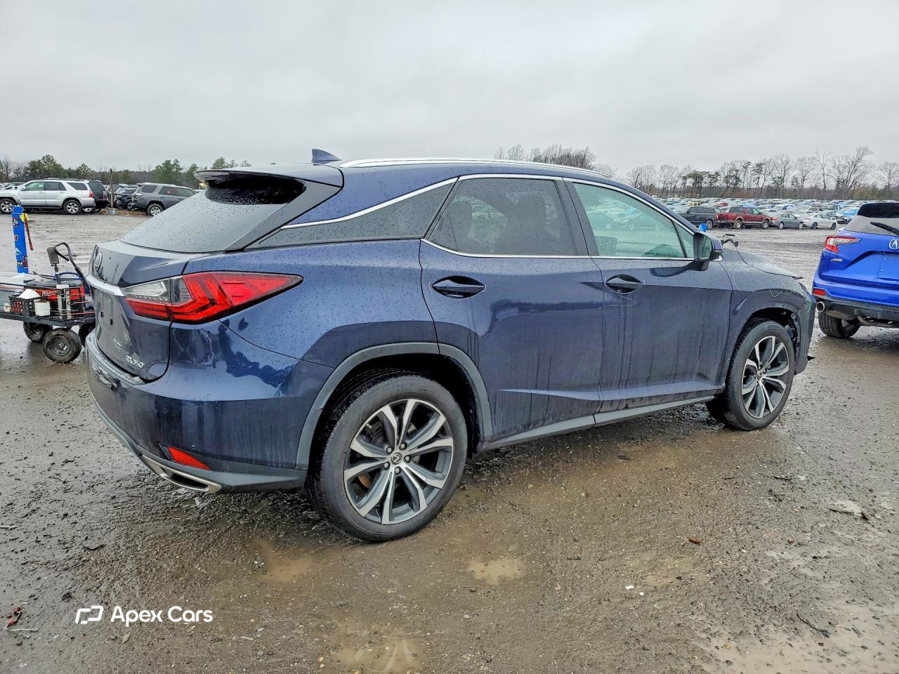Lexus RX 2022