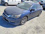 Honda Accord 2015
