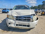 Ford Escape 2010