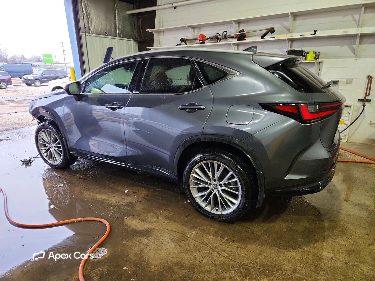 Lexus NX 2025