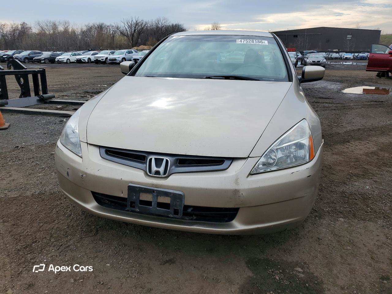 Honda Accord 2003