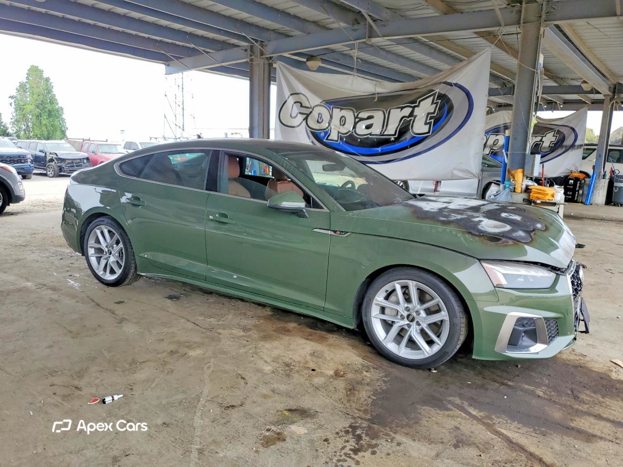 Audi A5 2024