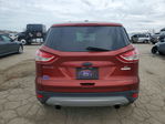 Ford Escape 2014