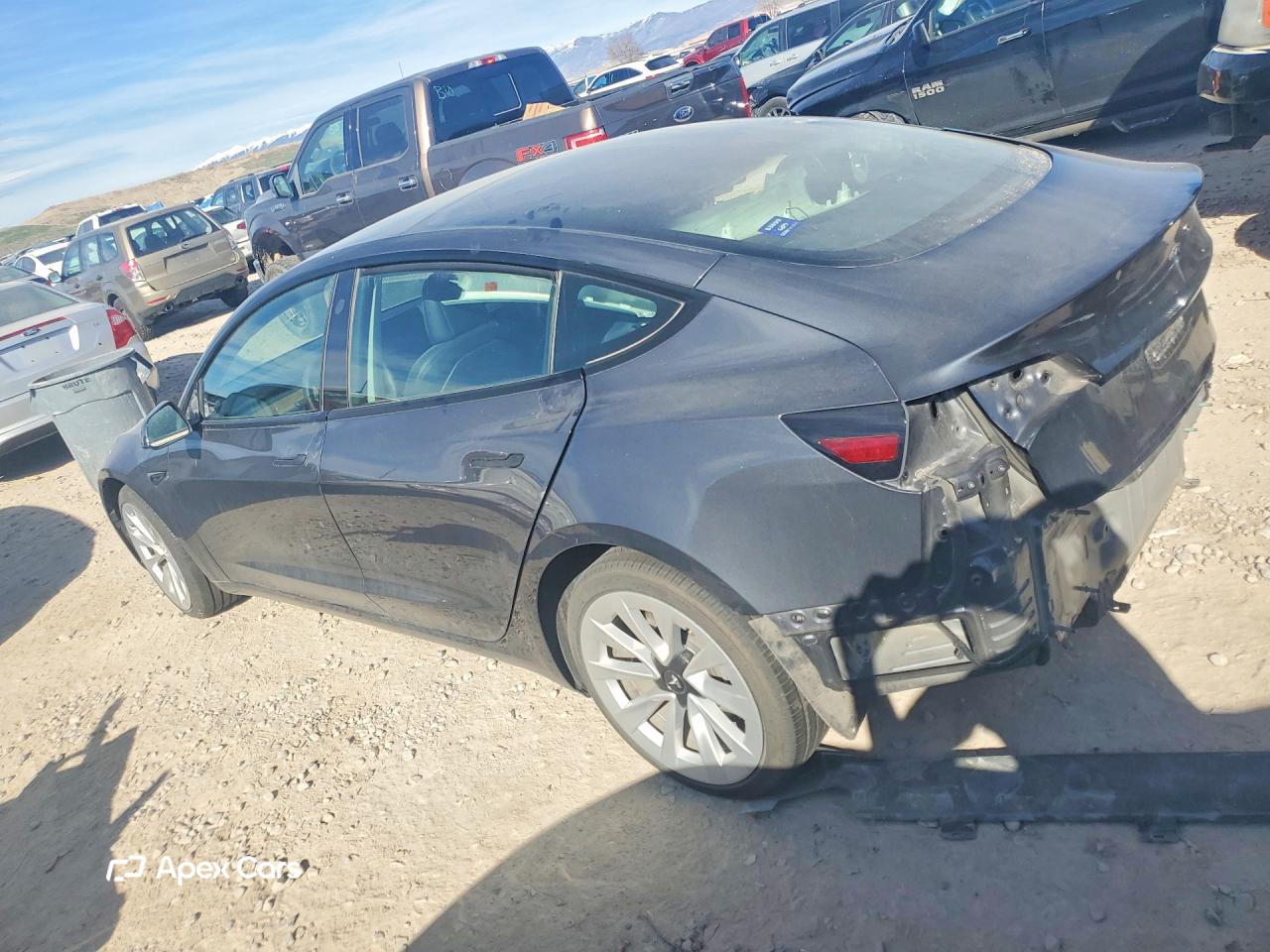 Tesla Model 3 2022