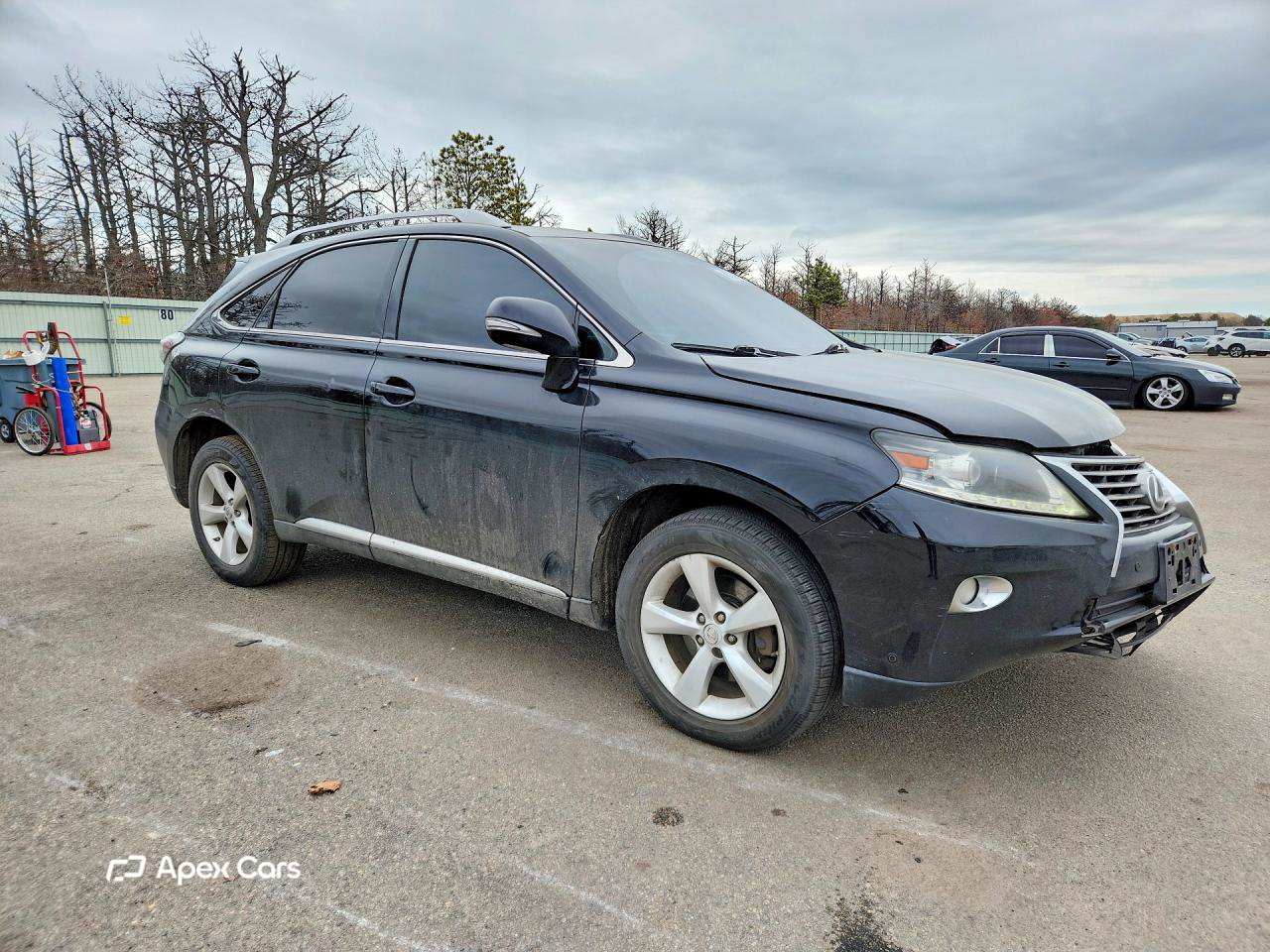 Lexus RX 2013