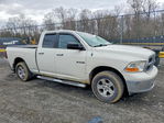 Dodge RAM 2009