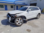 Audi Q5 2010