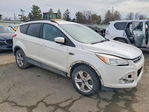 Ford Escape 2015