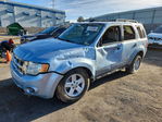 Ford Escape 2008
