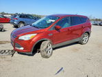 Ford Escape 2014