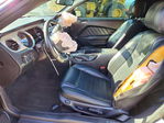 Ford Mustang 2013