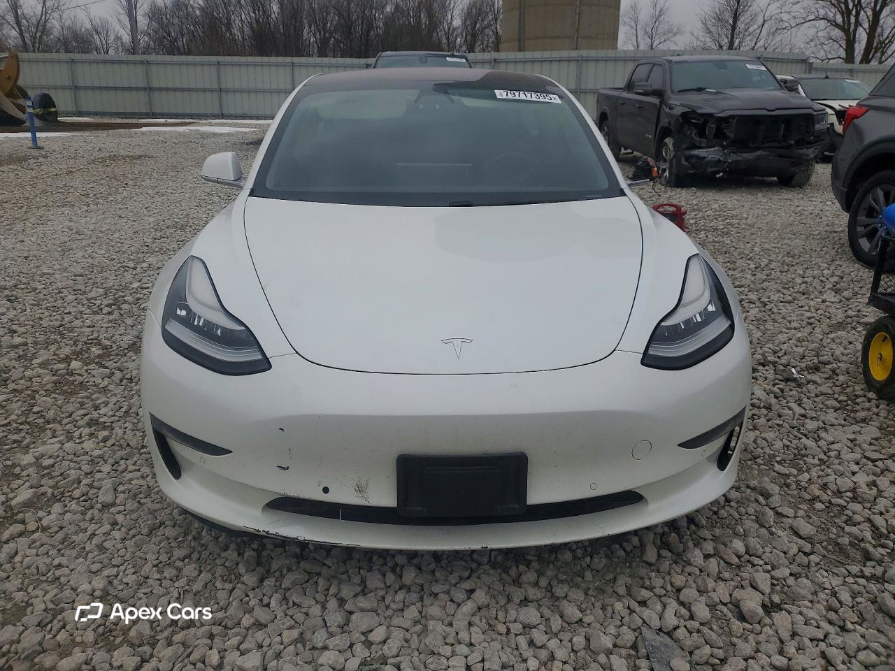 Tesla Model 3 2019