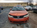Kia Forte 2010