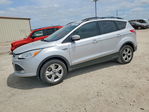 Ford Escape 2013
