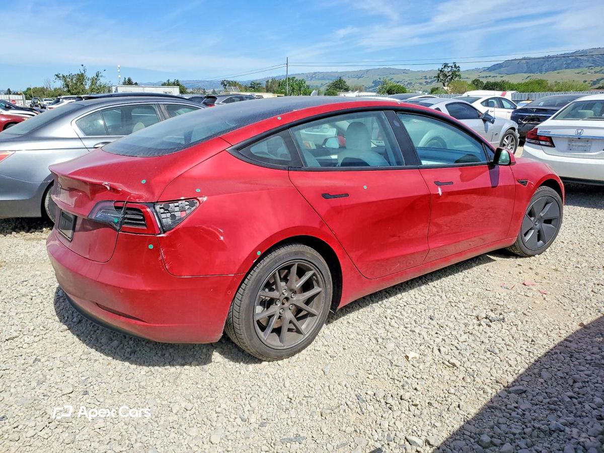 Tesla Model 3 2021