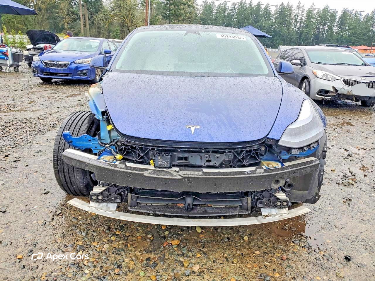 Tesla Model 3 2021