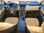 Lexus NX 2019