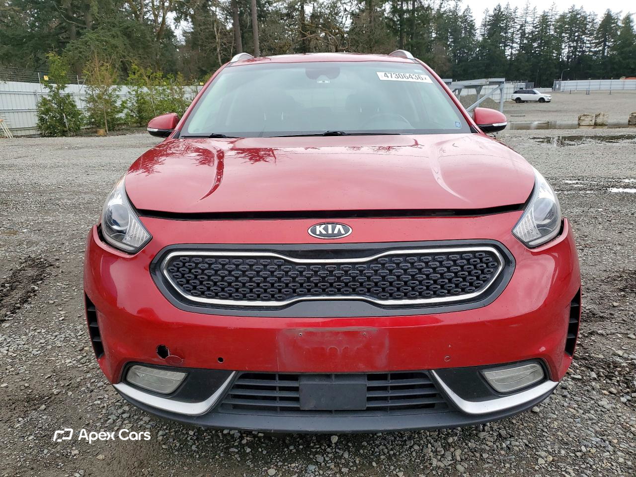 Kia Niro 2019