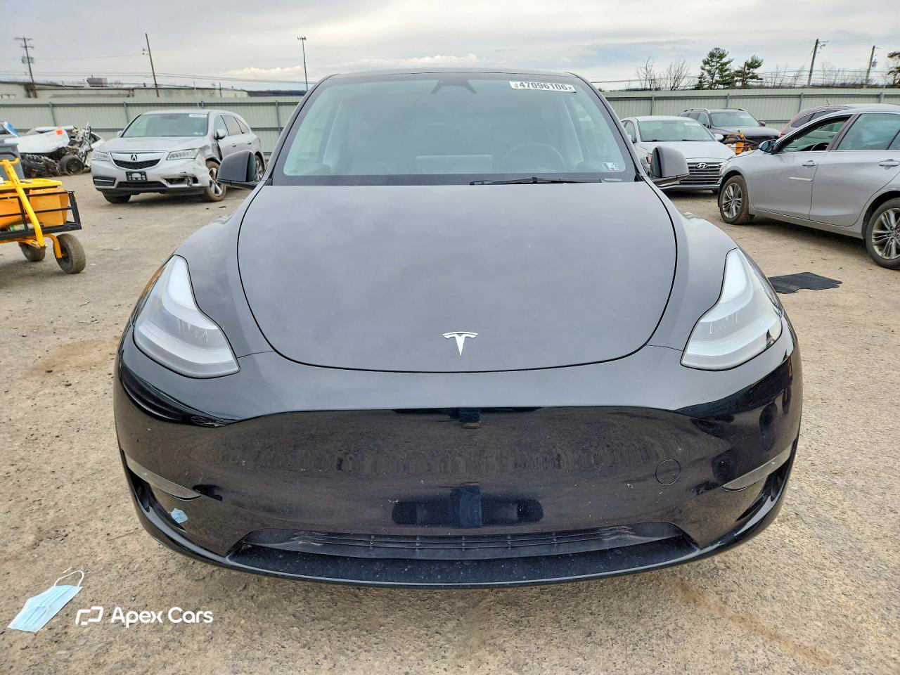 Tesla Model Y 2023