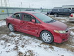 Honda Civic 2011