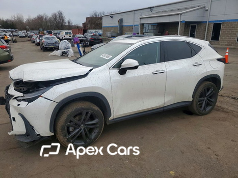 Lexus NX 2023 - Image 1 of 14