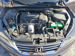 Honda Accord 2013