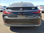 Lexus ES 2020
