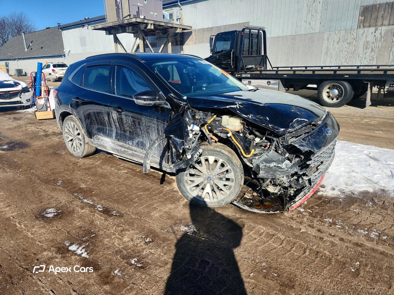 Ford Escape 2020
