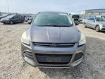 Ford Escape 2013