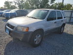 Ford Escape 2004