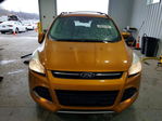 Ford Escape 2016