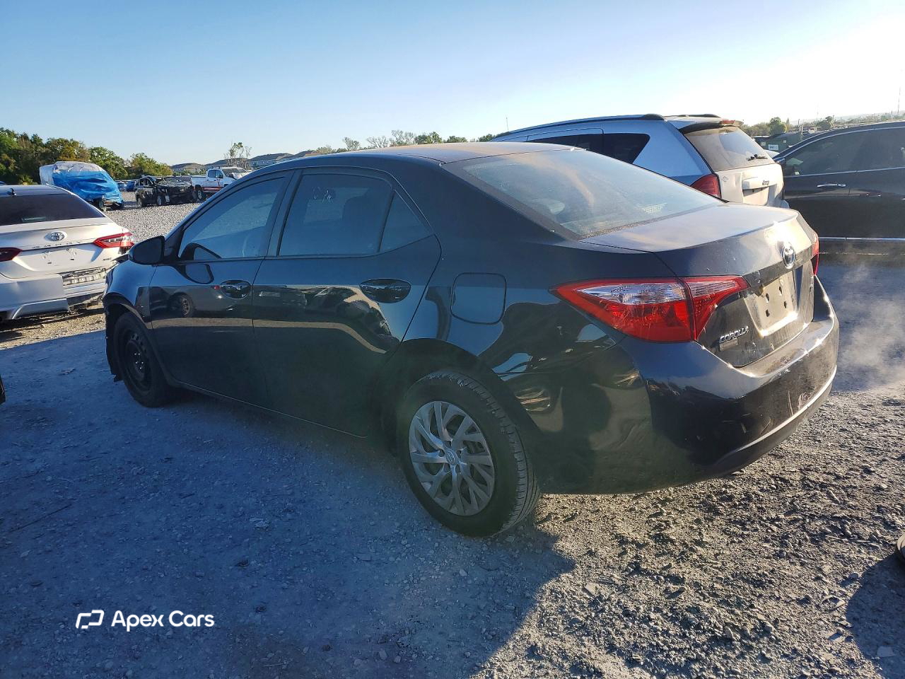 Toyota Corolla 2019