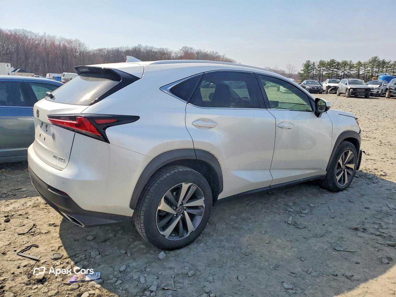 Lexus NX 2020