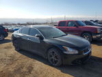 Nissan Maxima 2014