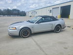Ford Mustang 1999