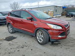 Ford Escape 2014