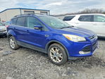 Ford Escape 2013